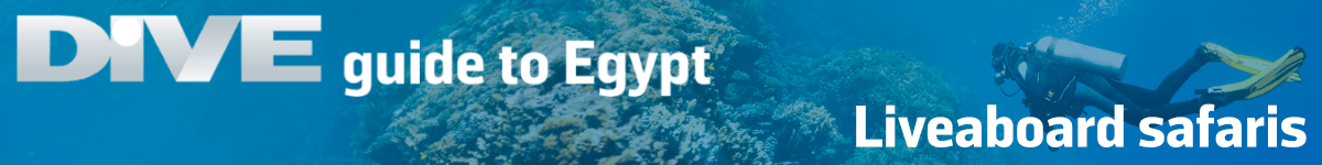 scuba diving guide to egypt liveaboards