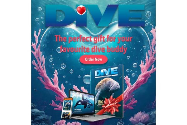T-shirt Homme Scuba Diving Love Diver - Coton - Modèle Gildan - Neuf