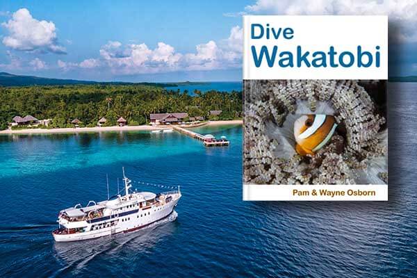 New e-book celebrates the wonders of Wakatobi