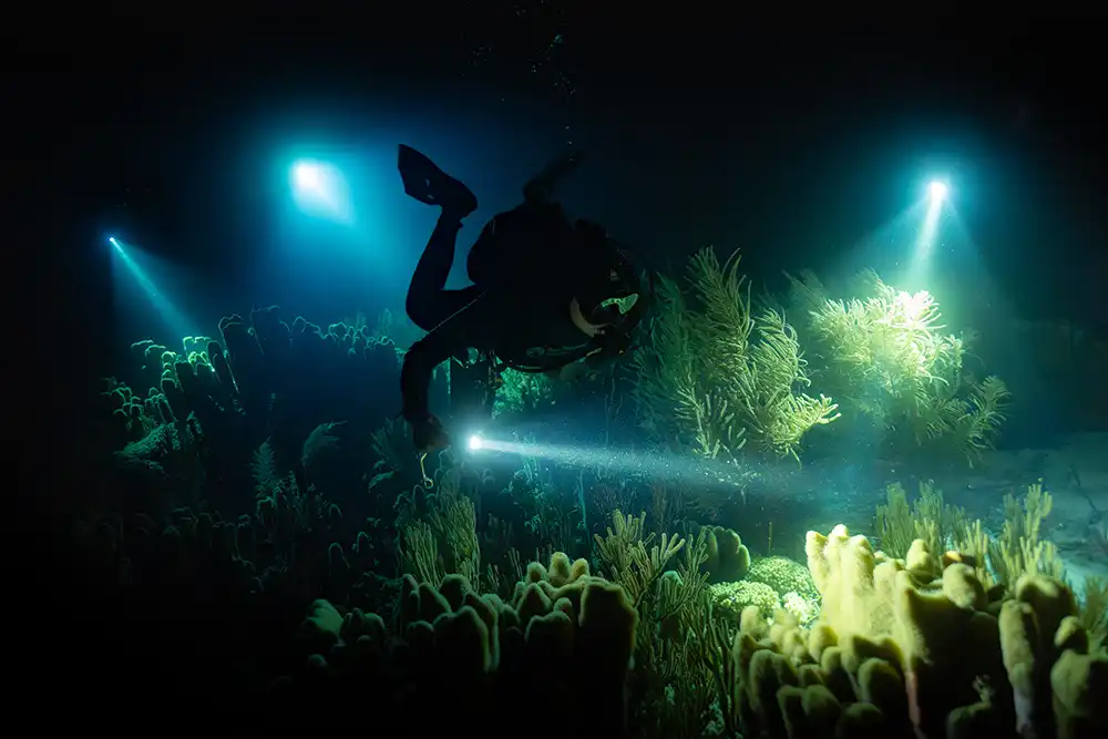 a diver swimming at night over a coral reef in Bonaire