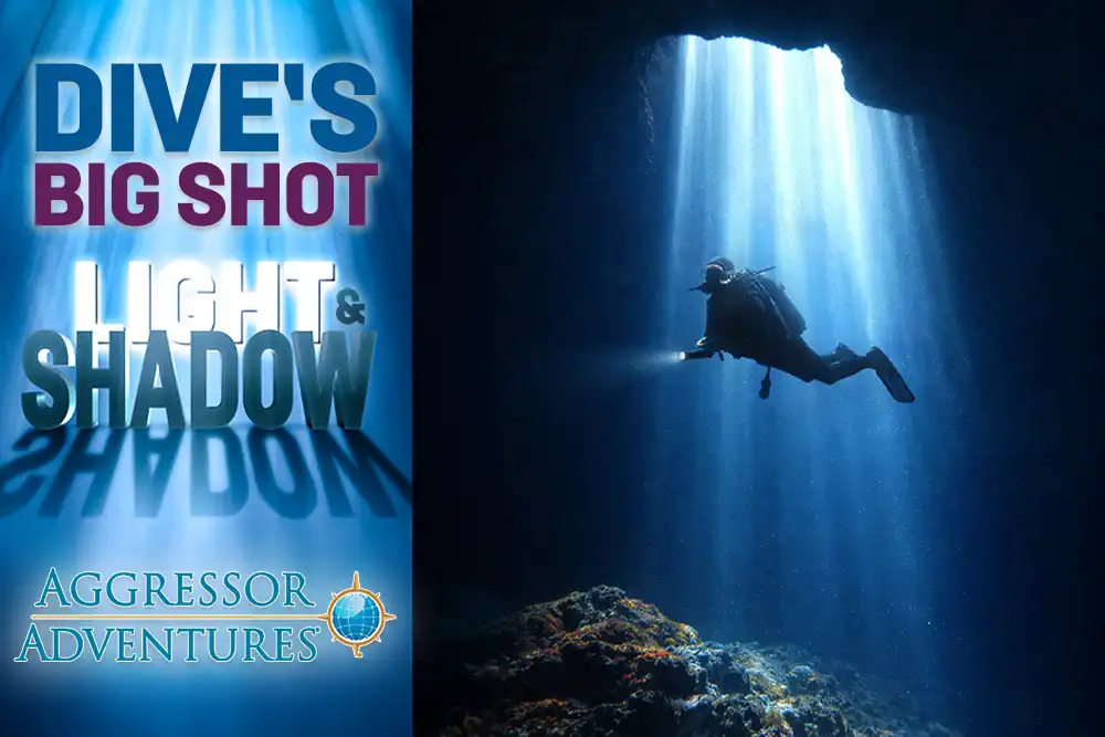 DIVE’s Big Shot Light and Shadow – win an Aggressor Adventures liveaboard&hellip;