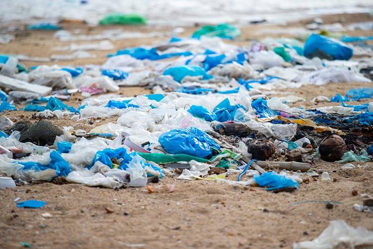 Litter on Dong Hoa beach, vietnam in 2022