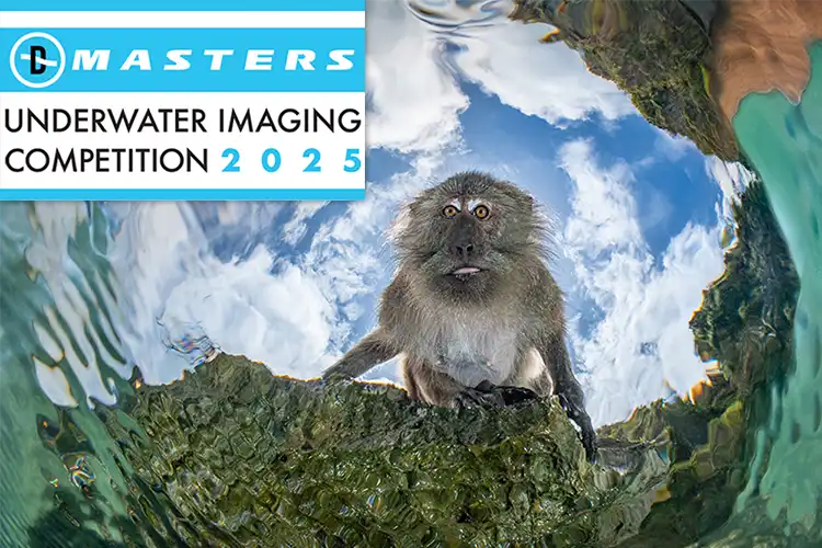 DPG Masters Underwater Imaging Competition 2025 announced