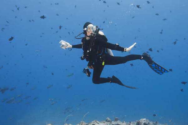 Top tips for drift diving