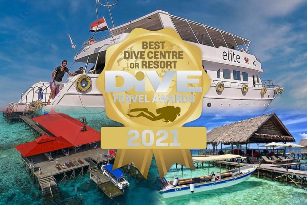 dive travel awards 2021 best scuba diving centres and resorts