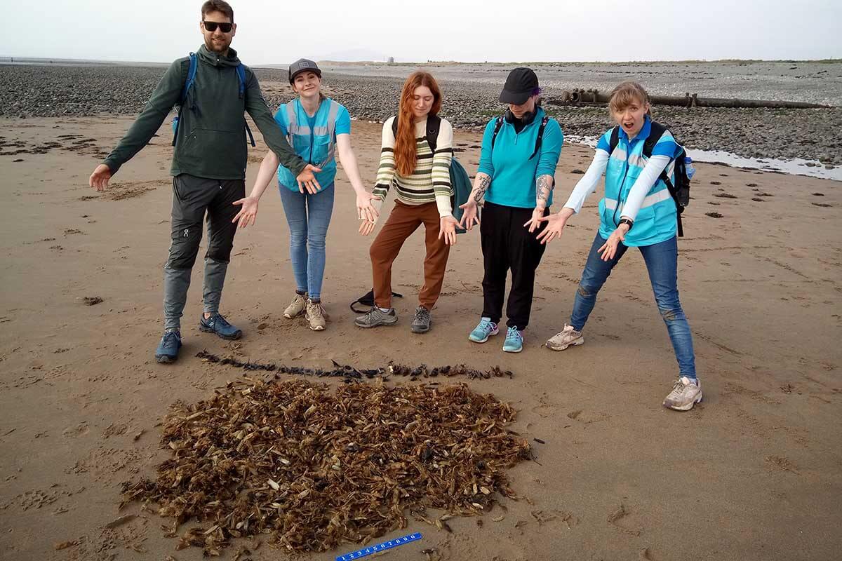 shark trust volunteers with a haul of eggcases during the shark trust great easter eggcase hunt