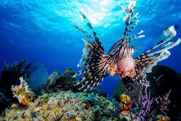 Egypt Destination Guide