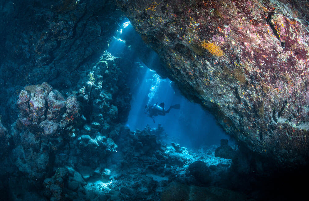 St John's is one of the best places in Egypt for scuba diving