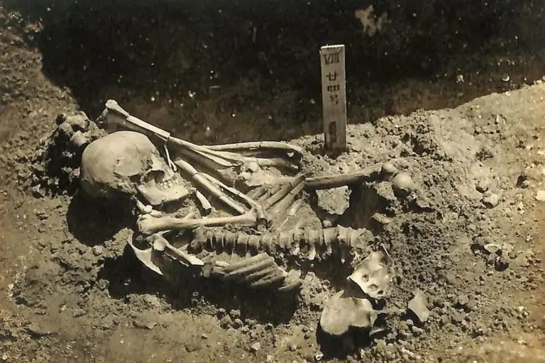 Earliest recorded shark attack victim found in ancient Japan