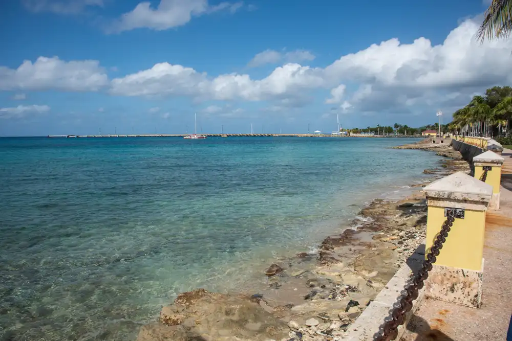 Woman dies after suspected shark attack while snorkelling in St Croix
