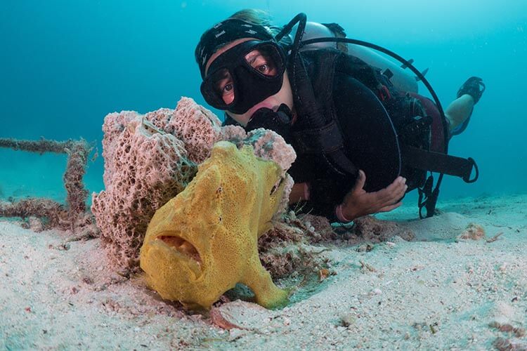 scuba diver with a giant frogfish