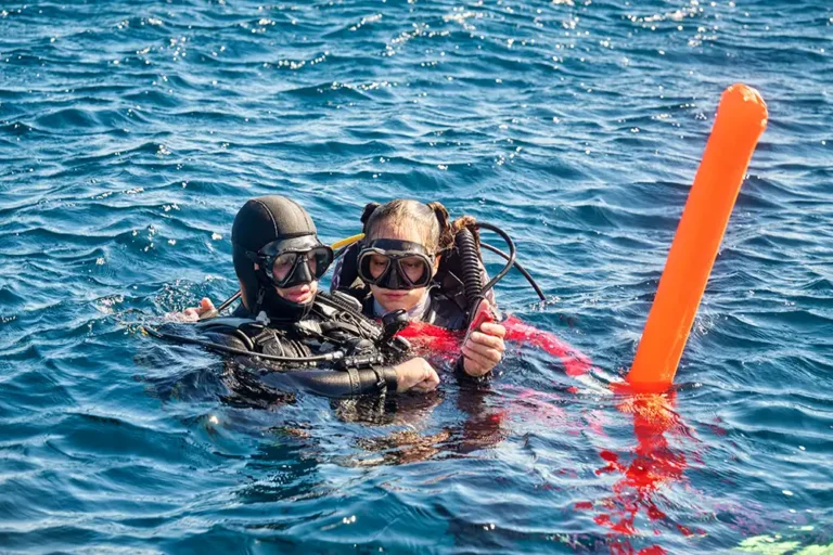 Garmin and DAN collaborate on emergency support for divers