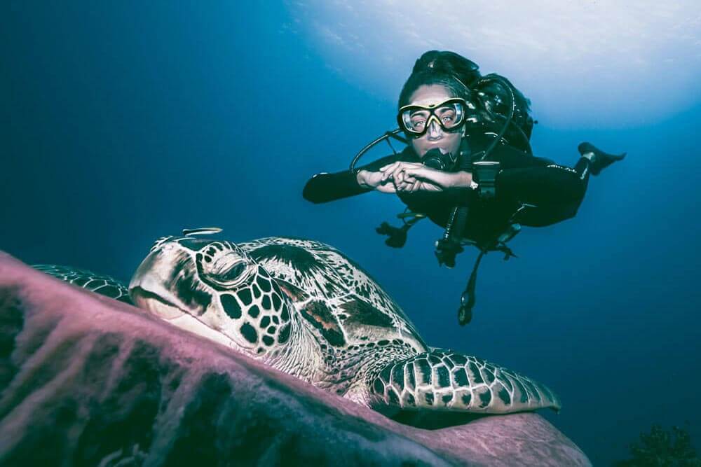 chilled turtle and scuba diver in gili trawangan