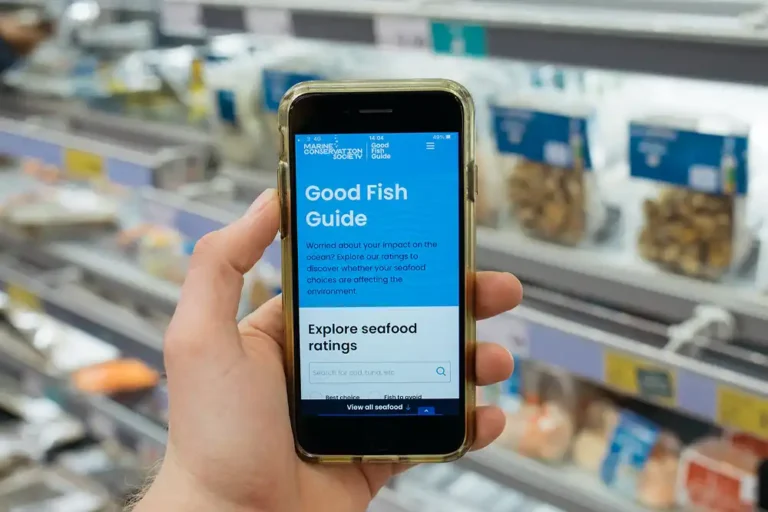 MCS Good Fish Guide updated for 2025