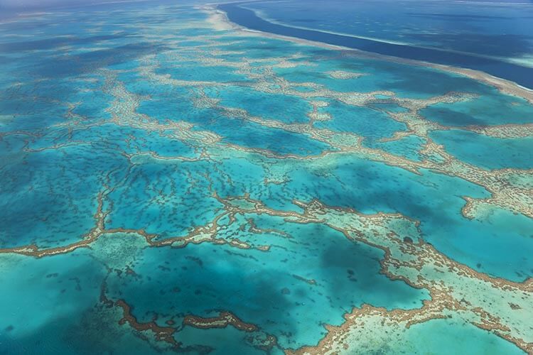 aerial shot of great barrier reef