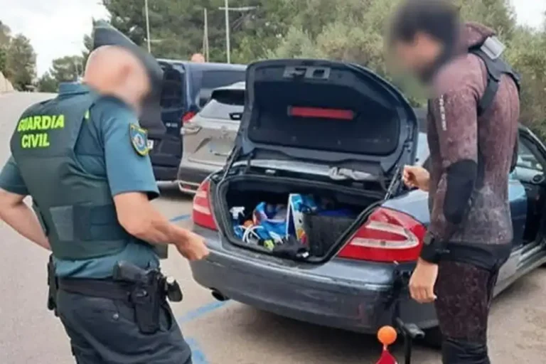 Diver arrested for looting ancient shipwreck