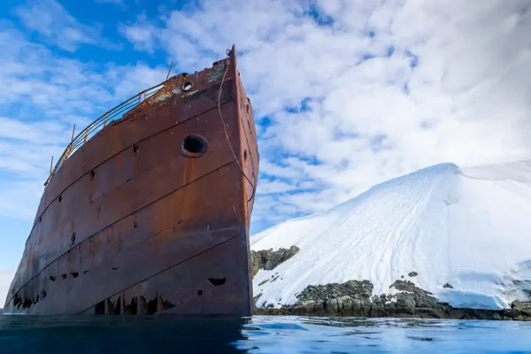 Diving with Bella – photographing Antarctic whaling ship Guvernøren