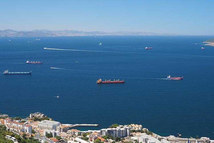 Heavy boat traffic in the Strait of Gibraltar is a significant threat to the orca population