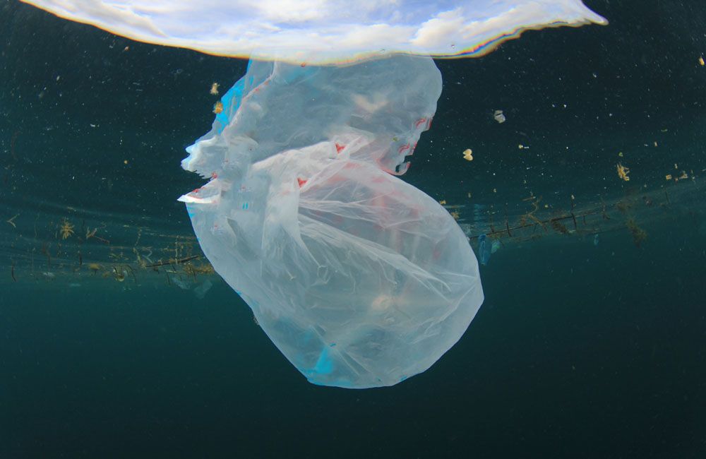 the most scary fish in the ocean - discarded plastic...