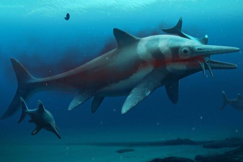 artists impression of the ichthyosaur