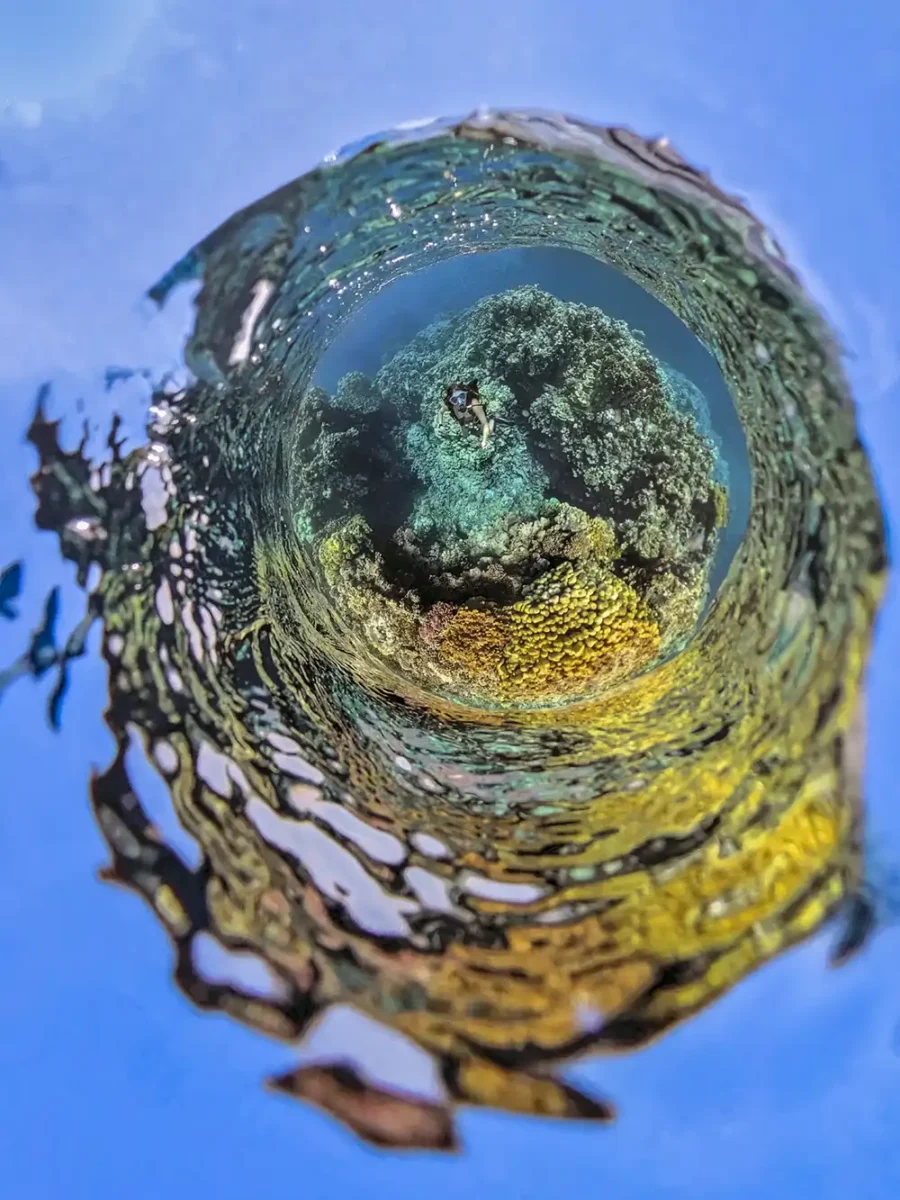 a 360 degree tiny world picture of a scuba diver on a coral reef