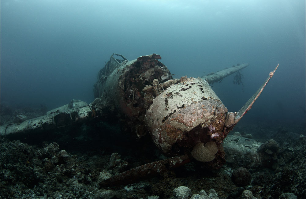 Front end of a Jake seaplane  wrecked at sea of Palau