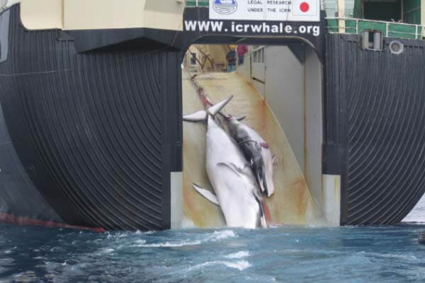 Japan to resume commercial whaling