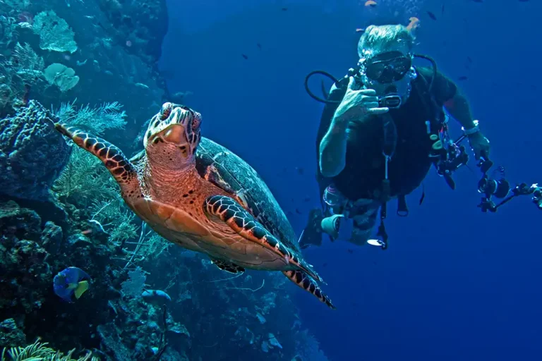 Roatan instructor plans 24-hour dive to raise funds for reef protection