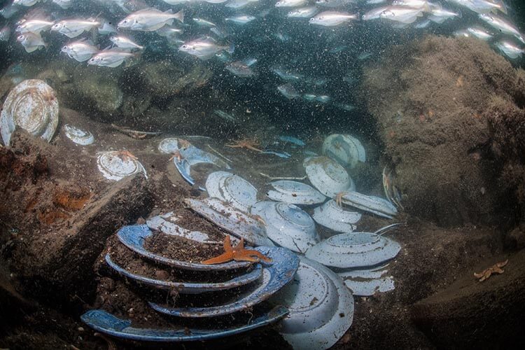 more plates and a school of fish among the wreckage of the josephine willis