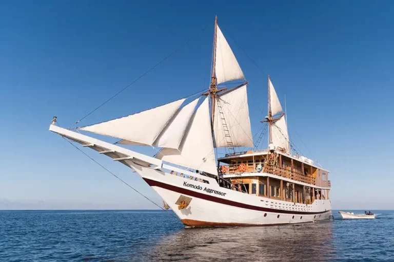 the komodo aggressor scauba diving liveaboard sailing yacht