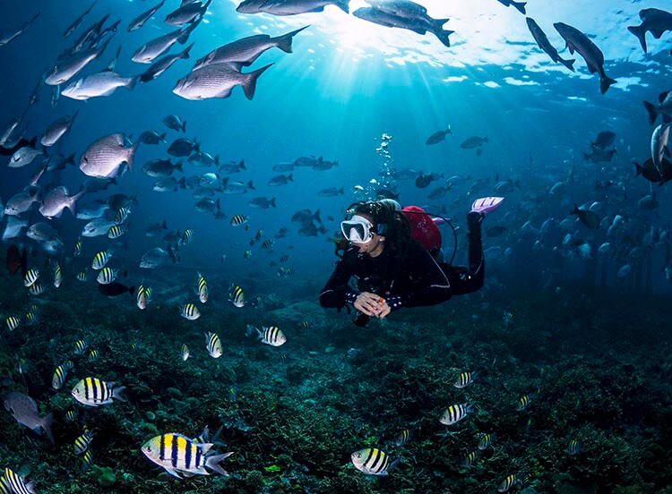 scuba diving from la galigo liveaboard in indonesia