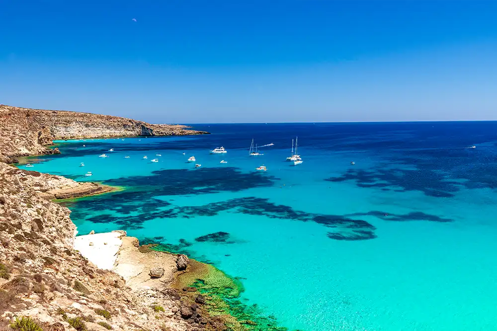 Freediving filmmaker dies after propeller strike off Lampedusa