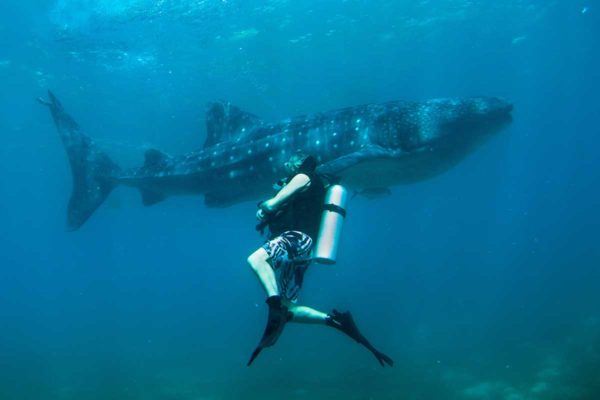 Learning to dive: 15 things you need to know - DIVE Magazine