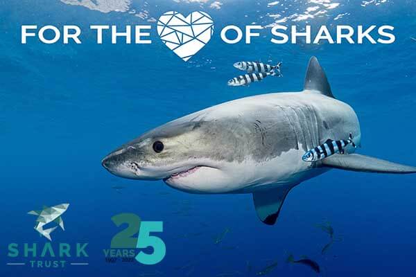 Shark Trust announce For the Love of Sharks 2022