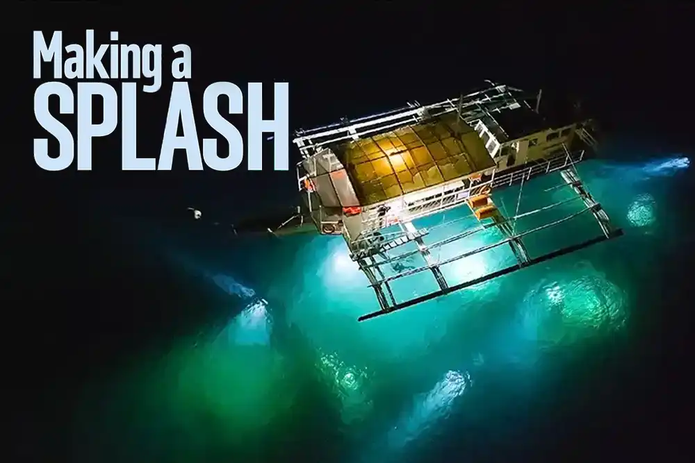 Making a splash – a judge’s eye view of the Dive Dauin underwater photography competition