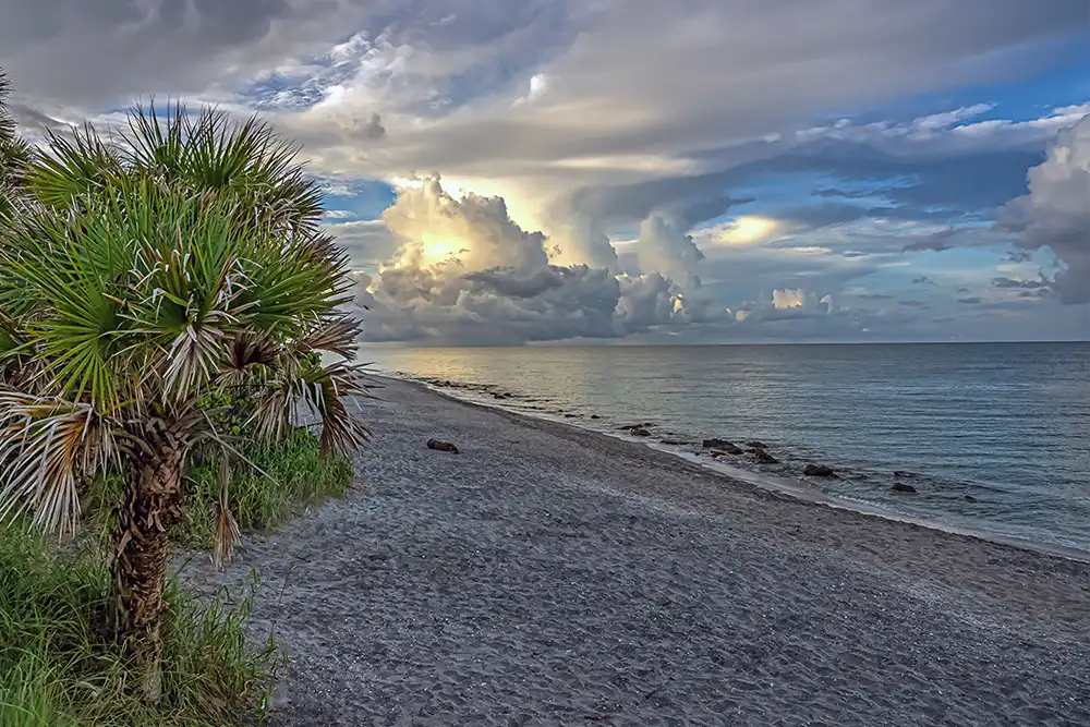 Florida diver found dead after disappearing during shark tooth dive