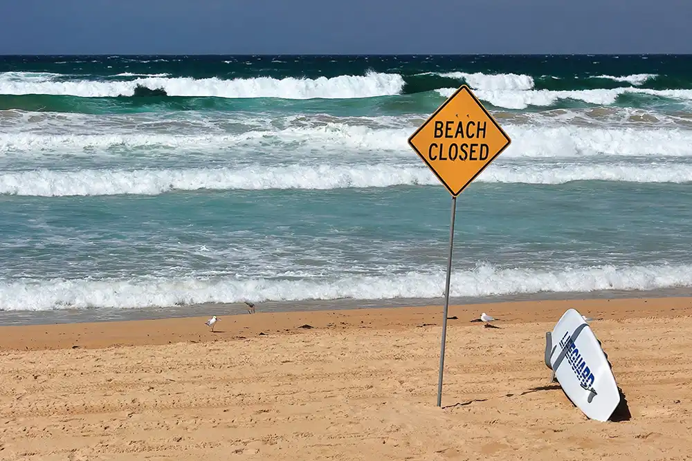 Three shark attacks in Sydney Harbour in just over 24 hours