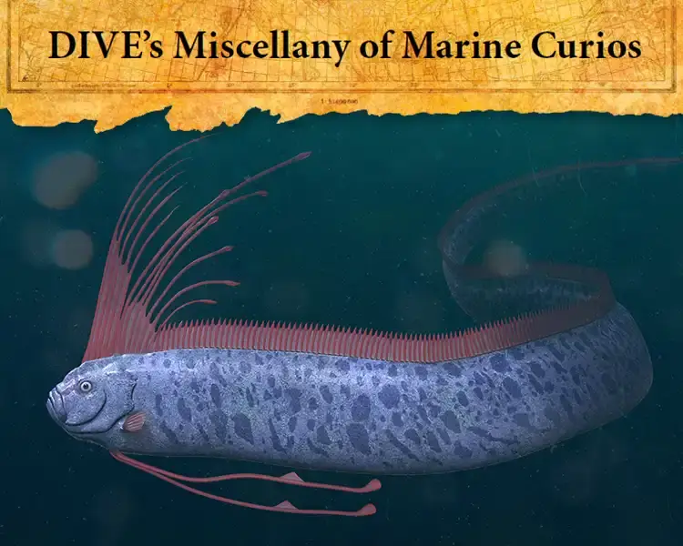 a 3d rendering of a giant oarfish with its huge red crest