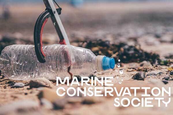 MCS’s Great British Beach Clean 2021 results