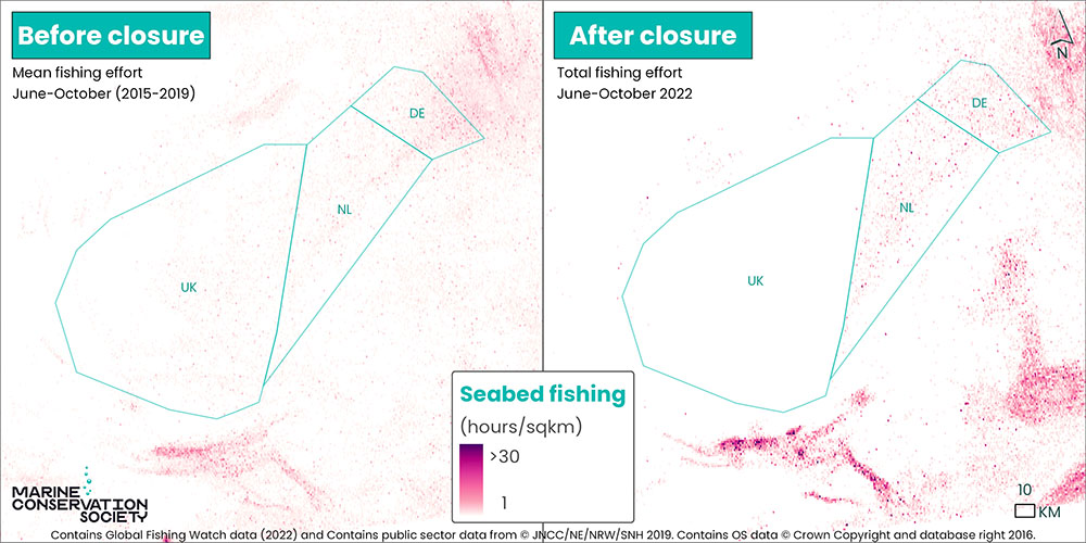 Huge decrease in Dogger Bank bottom trawling after UK ban - DIVE