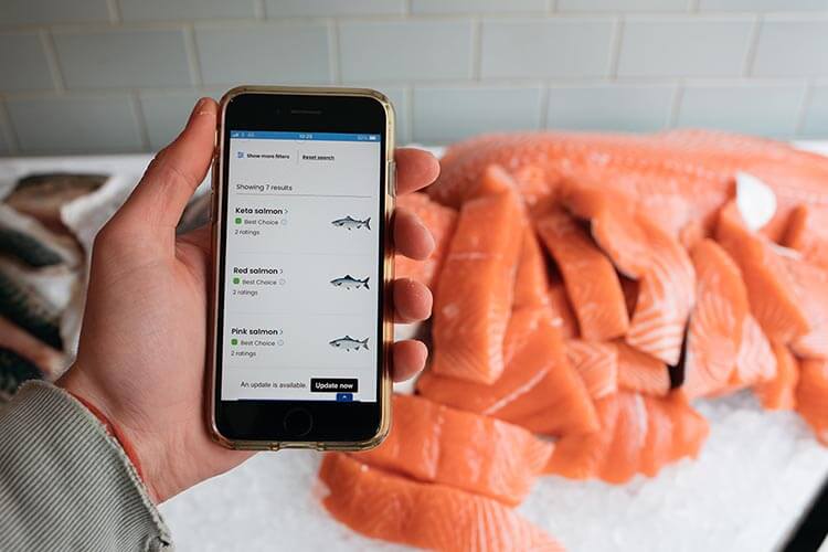 MCS recommendations for more sustainable seafood shopping - DIVE Magazine