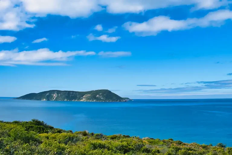 Third spearfished killed by shark in Australian waters within a month