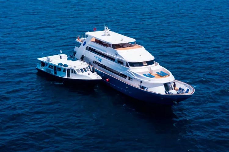 mv blue voyager and its dhoni moored in the maldives