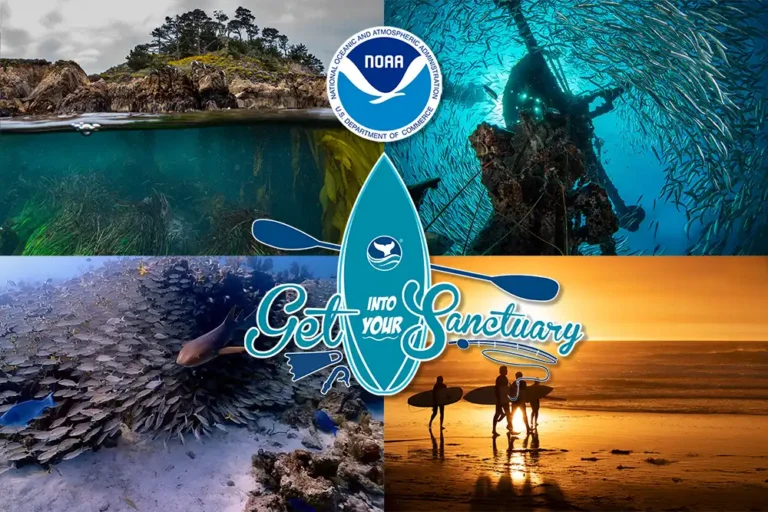 NOAA’s 2026 Get Into Your Sanctuary underwater photo contest is open for entries