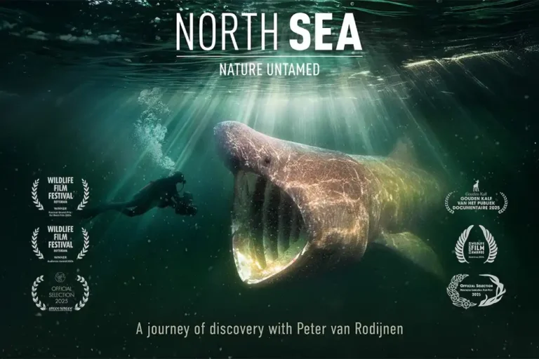 North Sea, Nature Untamed movie explores the hidden marine wilderness on Britain’s doorstep