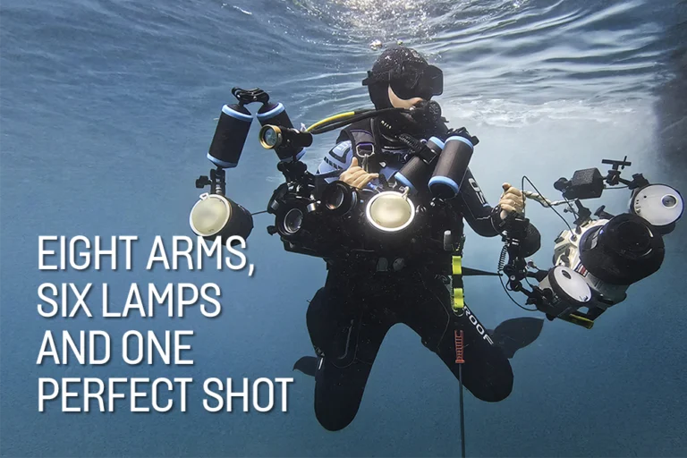 Eight arms, six lamps and one perfect shot – mastering macro with Nur Tucker