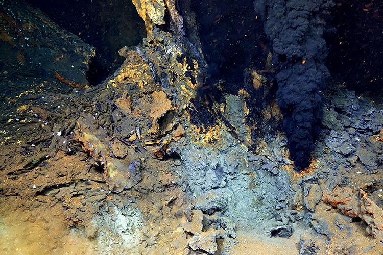 a deep sea volcanic vent