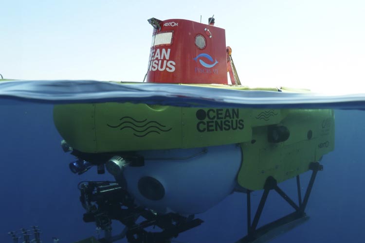 Ocean Census endorsed as UN Ocean Decade programme