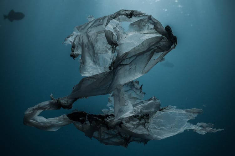 plastic bag drifting through the ocean