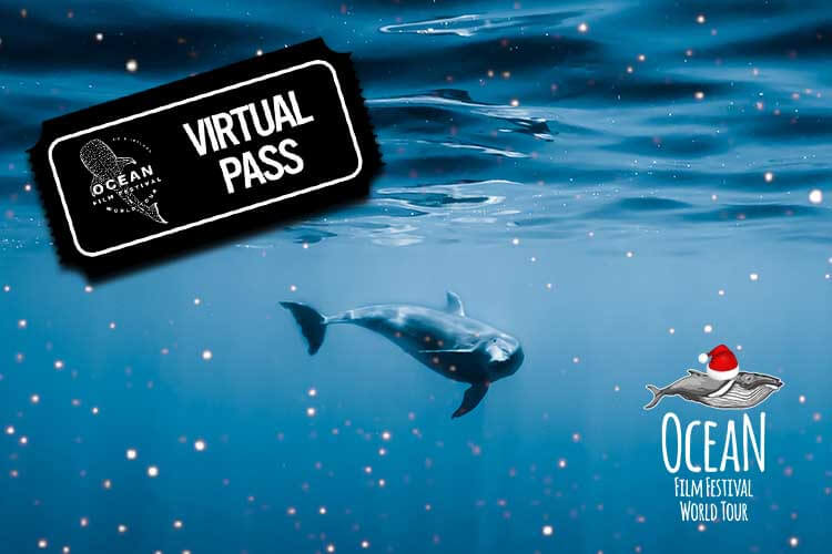 Ocean Film Festival 2022 virtual theatre